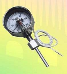 �����ӵ�˫�����¶ȼ�